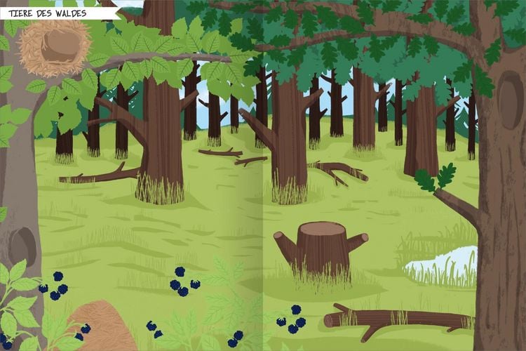 Produktbild: Naturforscher-Kids &ndash; Stickerheft B&auml;ume