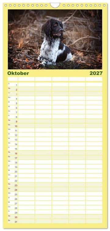 Produktbild: Familienplaner 2027 - Passion Jagdhund - Deutsch Langhaar mit 5 Spalten (Wandkalender, 21 x 45 cm) CALVENDO