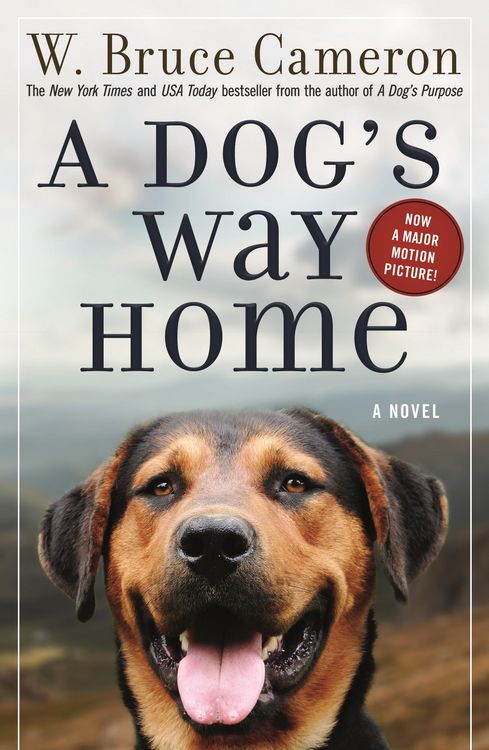 Produktbild: A Dog's Way Home