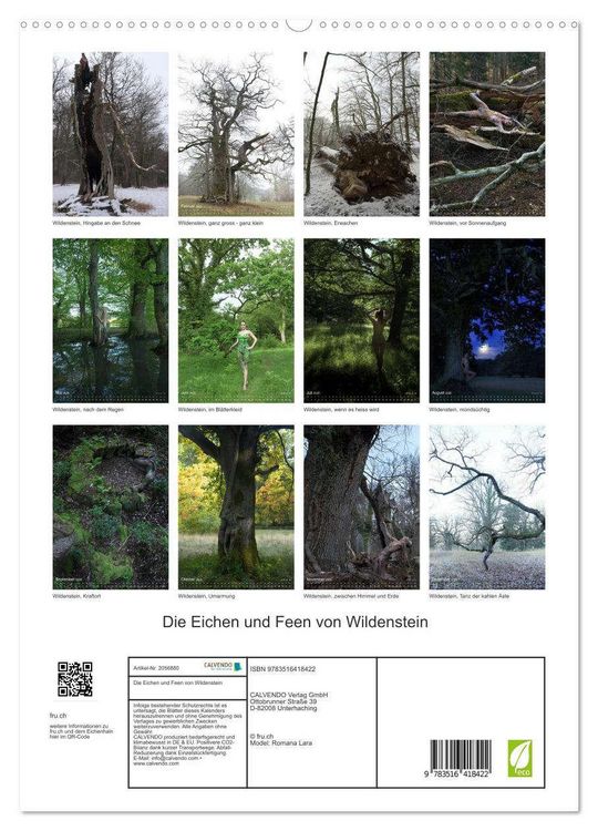 Produktbild: Die Eichen und Feen von Wildenstein (hochwertiger Premium Wandkalender 2026 DIN A2 hoch), Kunstdruck in Hochglanz