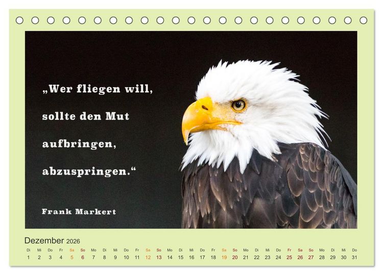 Produktbild: Co-Kreation, Gemeinsam Wunder erschaffen (Tischkalender 2026 DIN A5 quer), CALVENDO Monatskalender