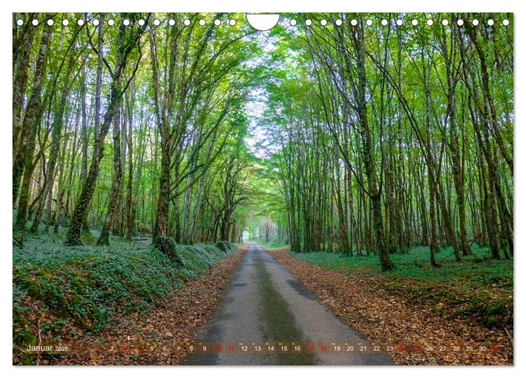 Produktbild: Dordogne Mon Amour (Wandkalender 2026 DIN A4 quer), CALVENDO Monatskalender
