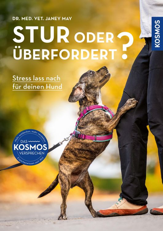 Produktbild: Stur oder &uuml;berfordert?