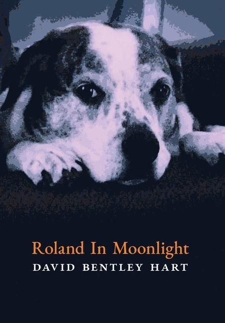 Produktbild: Roland in Moonlight