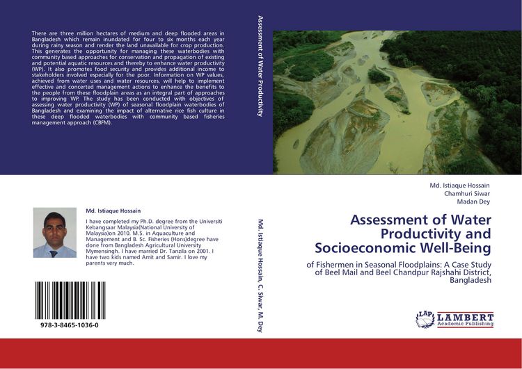 Produktbild: Assessment of Water Productivity and Socioeconomic Well-Being