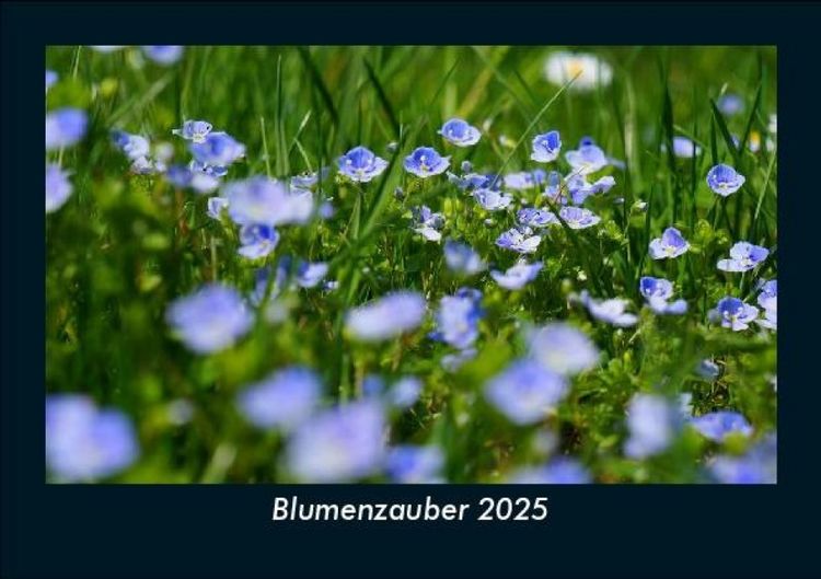 Produktbild: Blumenzauber 2025 Fotokalender DIN A5