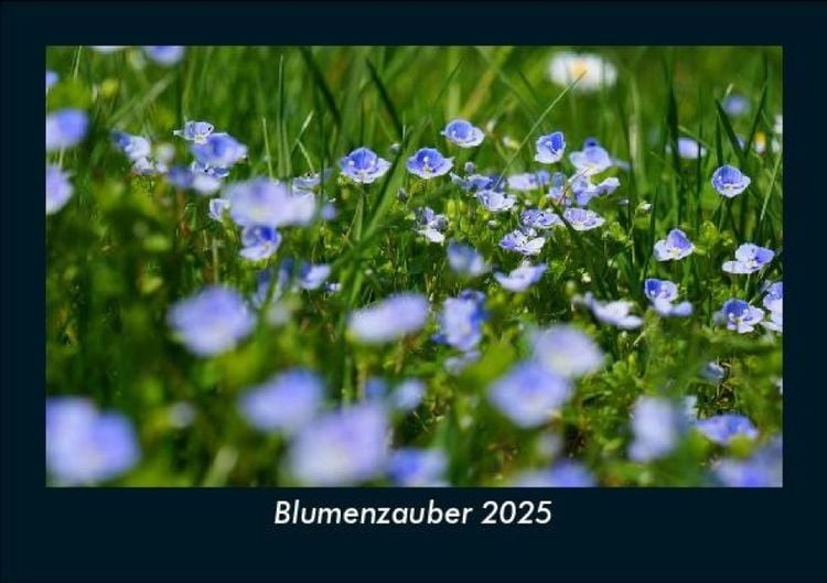 Produktbild: Blumenzauber 2025 Fotokalender DIN A5