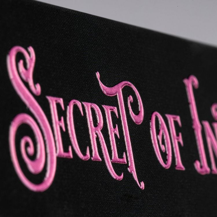 Produktbild: The Secret of Ink (Chronica Arcana 2)