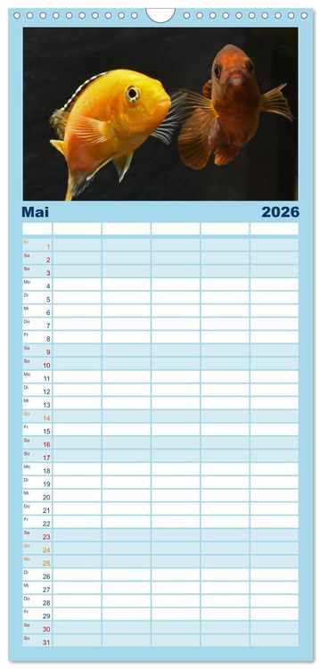 Produktbild: Familienplaner 2026 - Beliebte Fische der Welt mit 5 Spalten (Wandkalender, 21 x 45 cm) CALVENDO