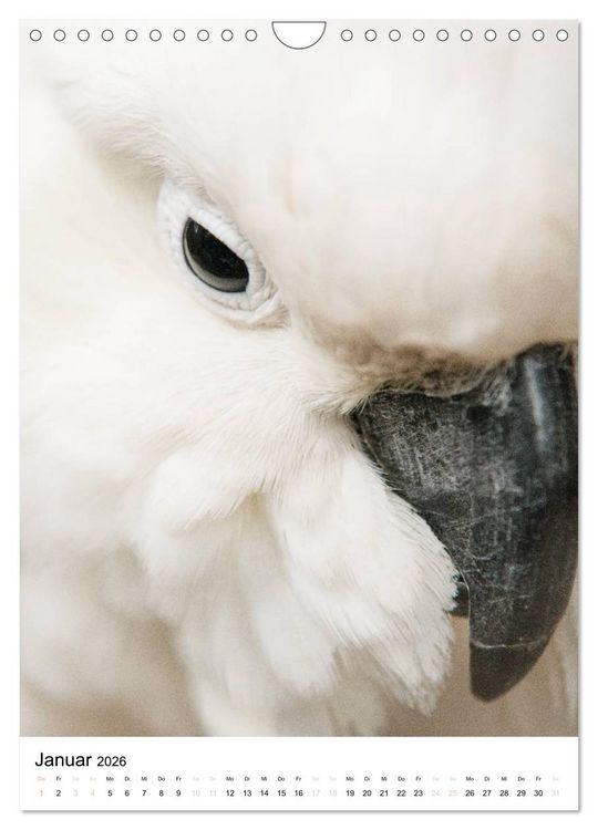Produktbild: australian animals (Wandkalender 2026 DIN A4 hoch), CALVENDO Monatskalender