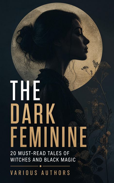 Produktbild: The Dark Feminine: 20 Must-Read Tales of Witches and Black Magic