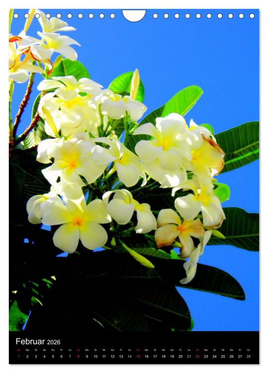 Produktbild: Hawaii (Wandkalender 2026 DIN A4 hoch), CALVENDO Monatskalender