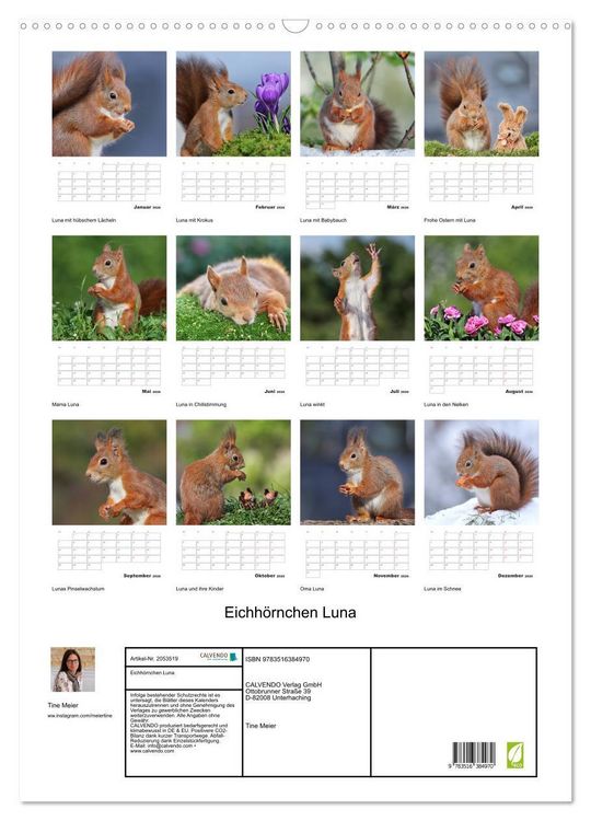 Produktbild: Eichh&ouml;rnchen Luna (Wandkalender 2026 DIN A2 hoch), CALVENDO Monatskalender