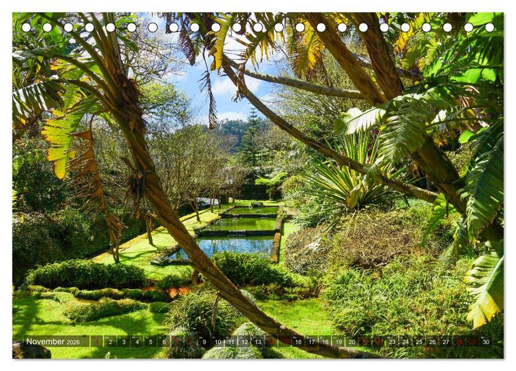 Produktbild: Terra Nostra Garten - ein botanisches Juwel auf den Azoren (Tischkalender 2026 DIN A5 quer), CALVENDO Monatskalender