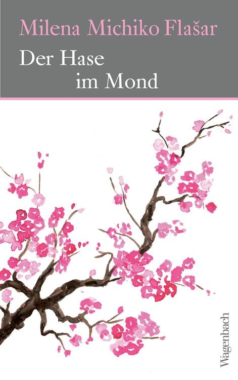 Produktbild: Der Hase im Mond