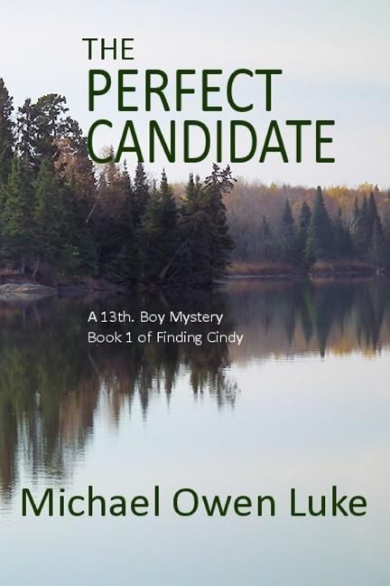 Produktbild: The Perfect Candidate