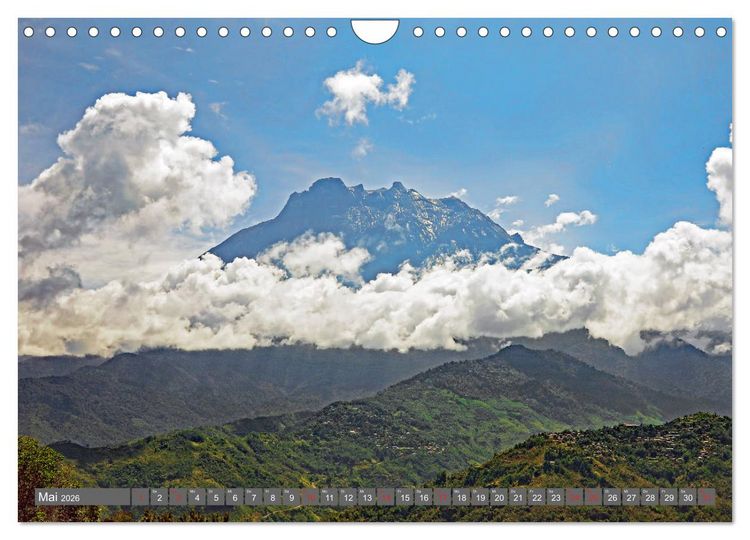 Produktbild: Im Regenwald von Borneo (Wandkalender 2026 DIN A4 quer), CALVENDO Monatskalender