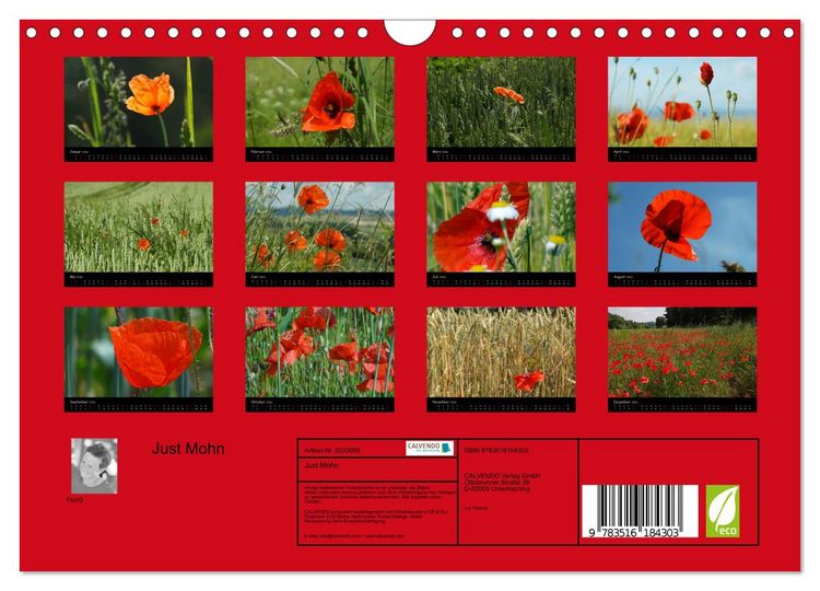 Produktbild: Just Mohn (Wandkalender 2026 DIN A4 quer), CALVENDO Monatskalender