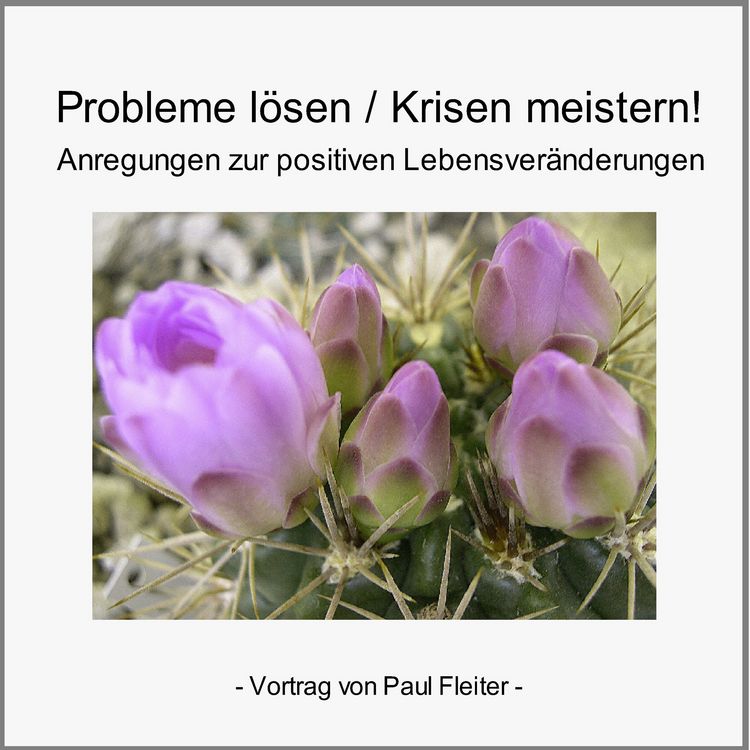 Produktbild: Probleme l&ouml;sen & Krisen meistern!