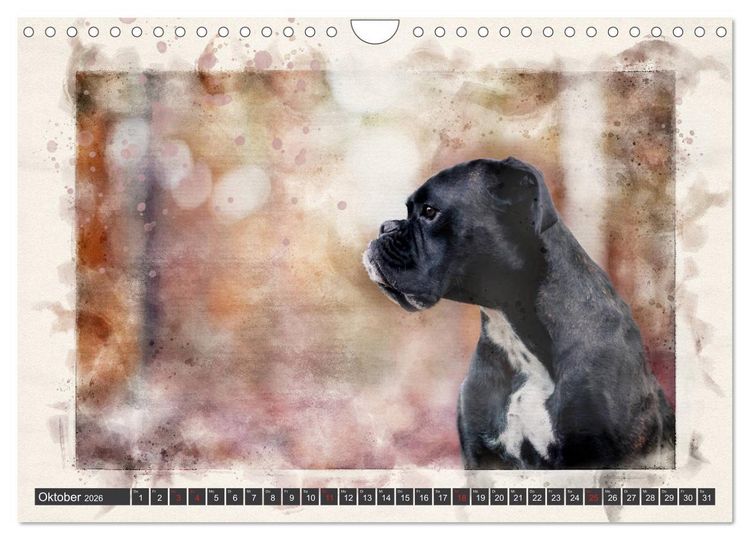 Produktbild: Boxer Photo&Kunst (Wandkalender 2026 DIN A4 quer), CALVENDO Monatskalender