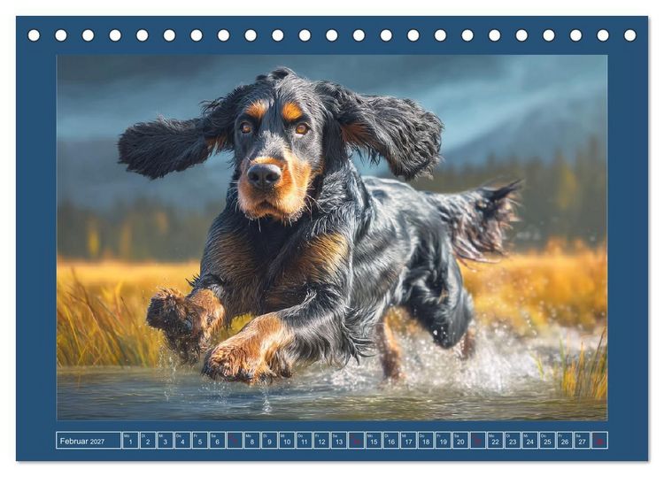 Produktbild: Gordon Setter. Edle Seelen in der Natur (Tischkalender 2027 DIN A5 quer), CALVENDO Monatskalender