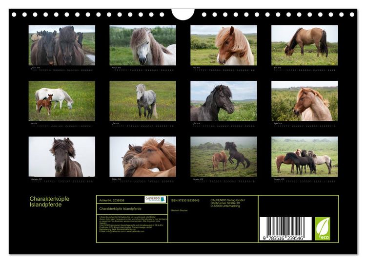 Produktbild: Charakterk&ouml;pfe Islandpferde (Wandkalender 2026 DIN A4 quer), CALVENDO Monatskalender