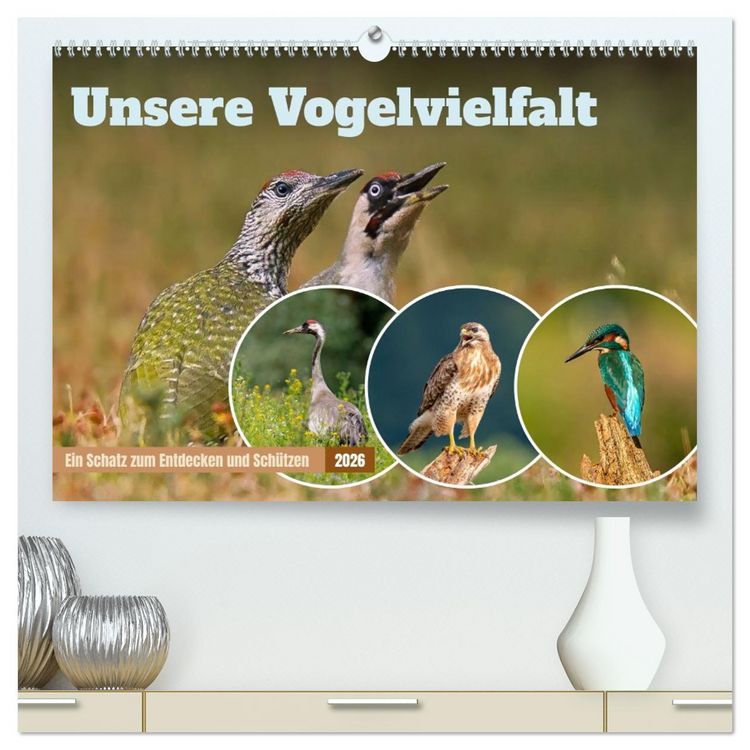 Produktbild: Unsere Vogelvielfalt: Ein Schatz zum Entdecken und Sch&uuml;tzen (hochwertiger Premium Wandkalender 2026 DIN A2 quer), Kunstdruck in Hochglanz