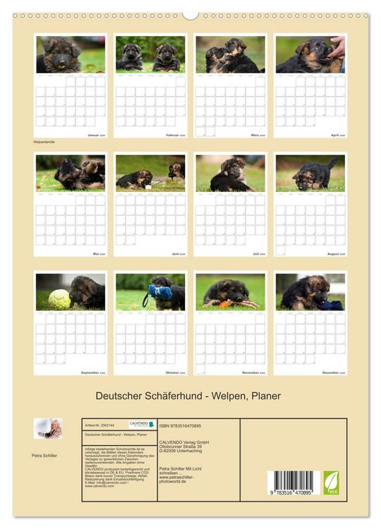 Produktbild: Deutscher Sch&auml;ferhund - Welpen, Planer (hochwertiger Premium Wandkalender 2026 DIN A2 hoch), Kunstdruck in Hochglanz