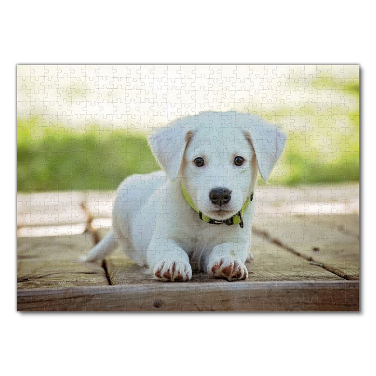 Produktbild: Lais Puzzle Hund 500 Teile