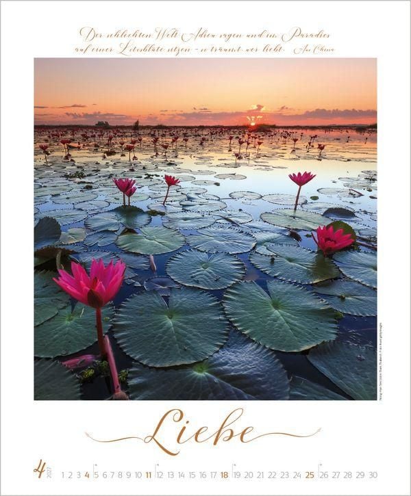 Produktbild: Buddhistische Weisheiten 2027