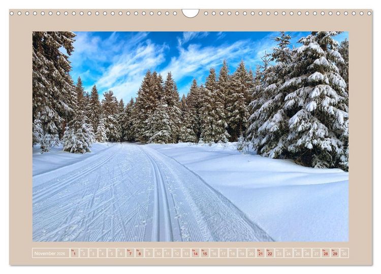 Produktbild: Vogtland - 900 Jahre Plauen (Wandkalender 2026 DIN A3 quer), CALVENDO Monatskalender
