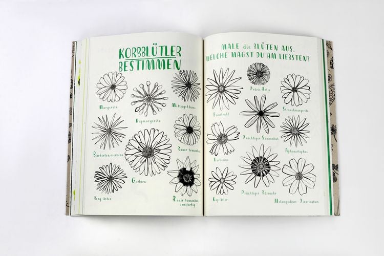 Produktbild: Mein Naturbuch &uuml;berarb. Neuauflage
