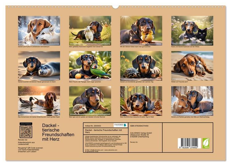 Produktbild: Dackel - tierische Freundschaften mit Herz (hochwertiger Premium Wandkalender 2027 DIN A2 quer), Kunstdruck in Hochglanz