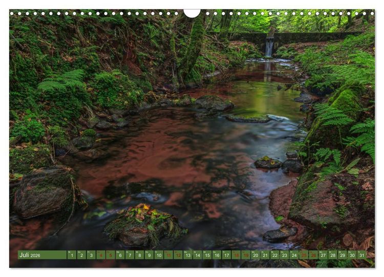 Produktbild: Augenschmaus Pf&auml;lzer Wald (Wandkalender 2026 DIN A3 quer), CALVENDO Monatskalender