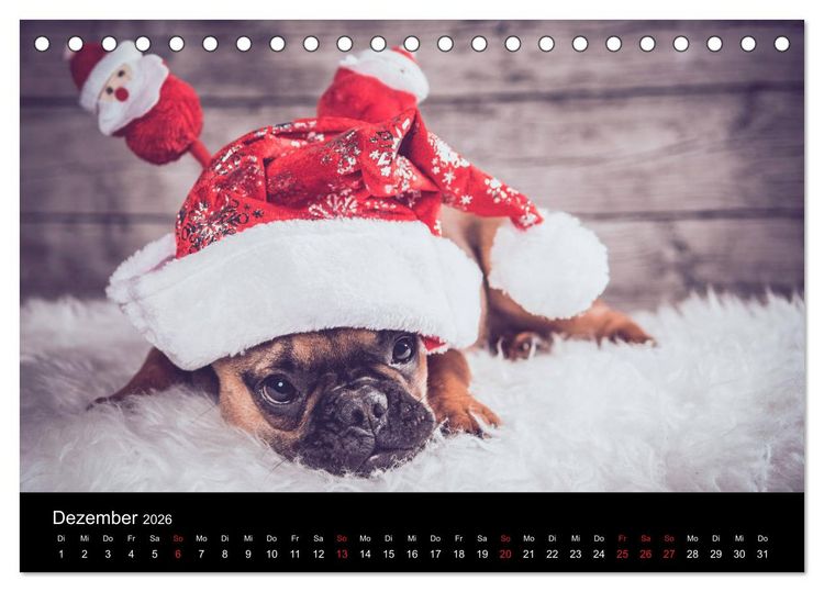 Produktbild: French Bulldog aktiv, verspielt, sportlich (Tischkalender 2026 DIN A5 quer), CALVENDO Monatskalender