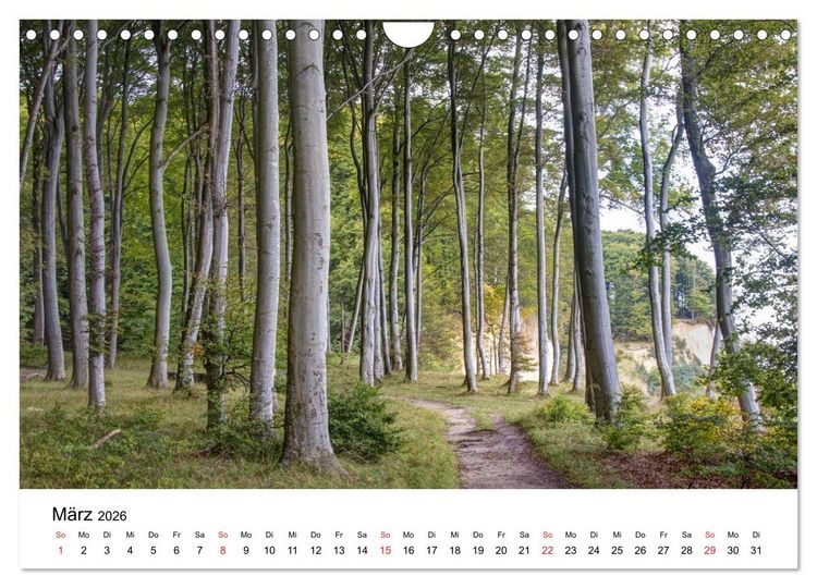 Produktbild: Der Hochuferweg im Jasmund Nationalpark (Wandkalender 2026 DIN A4 quer), CALVENDO Monatskalender