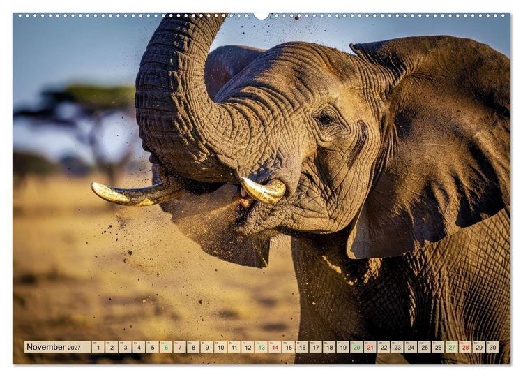 Produktbild: Gro&szlig;e und kleine Elefanten (Wandkalender 2027 DIN A2 quer), CALVENDO Monatskalender