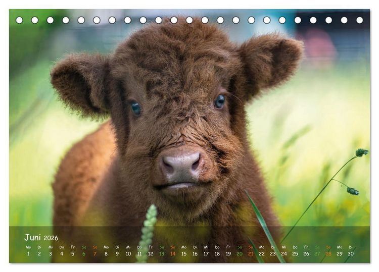Produktbild: Zauberhaftes Norderstedt (Tischkalender 2026 DIN A5 quer), CALVENDO Monatskalender