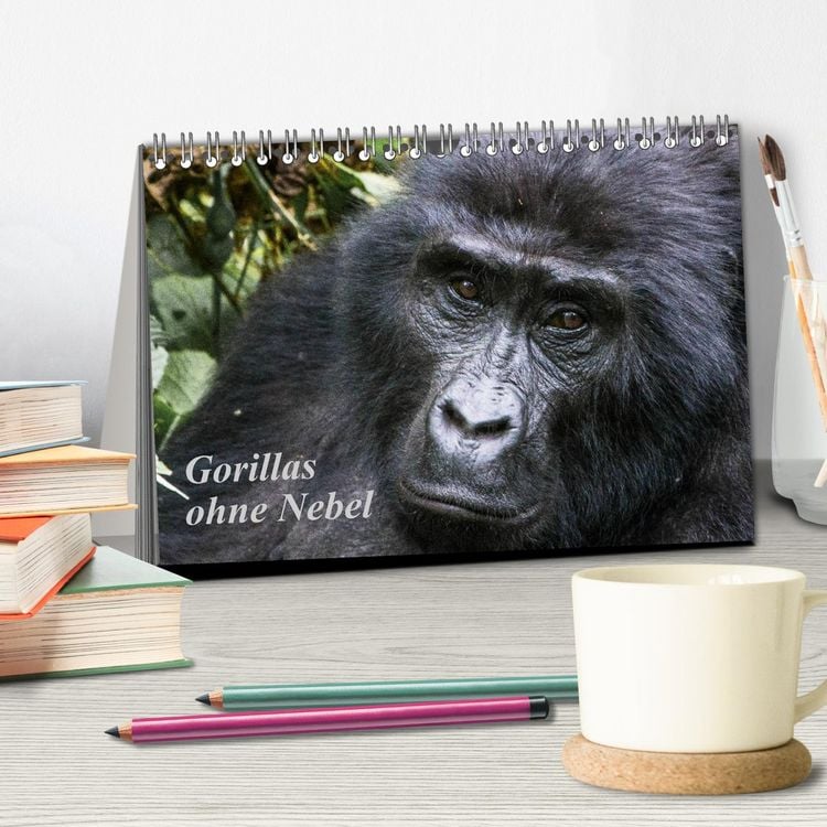 Produktbild: Gorillas ohne Nebel (Tischkalender 2026 DIN A5 quer), CALVENDO Monatskalender