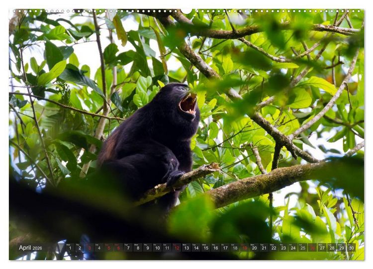 Produktbild: Amazing Costa Rica (High Quality Premium Wall Calendar 2026 DIN A2 landscape),CALVENDO 12 Month Wall Calendar