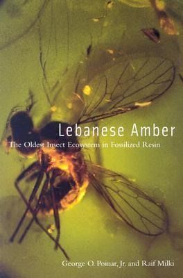 Produktbild: Lebanese Amber