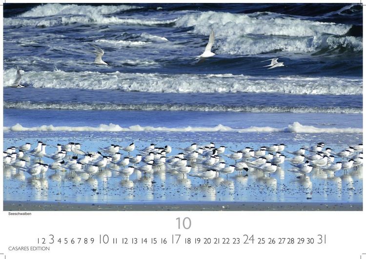 Produktbild: Nordseek&uuml;ste Kalender 2027 &ndash; Wandkalender | Fotokalender Deutschland 50x35cm - mit Stimmungsvollen Motiven von D&uuml;nen, Watt, Leuchtt&uuml;rmen und maritimer K&uuml;stenlandschaft