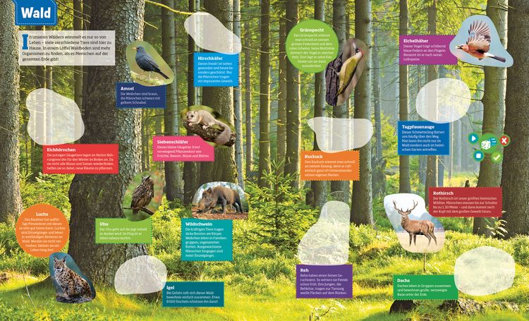 Produktbild: BOOKii&reg; WAS IST WAS Stickeratlas Tiere aus aller Welt