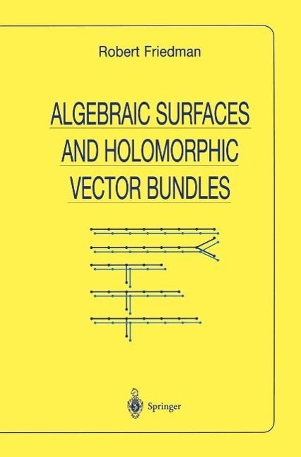 Produktbild: Algebraic Surfaces and Holomorphic Vector Bundles