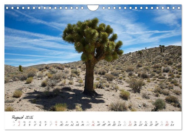 Produktbild: H&ouml;hepunkte im Westen der USA (Wandkalender 2026 DIN A4 quer), CALVENDO Monatskalender