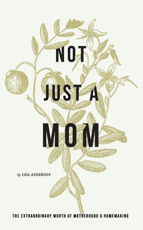 Produktbild: Anderson, L: Not Just a Mom