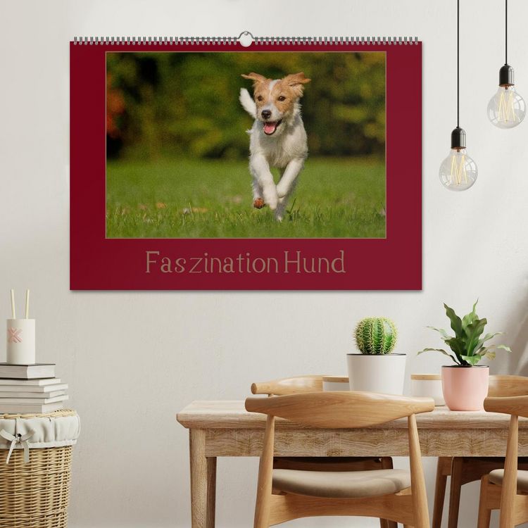 Produktbild: Faszination Hund (Wandkalender 2026 DIN A2 quer), CALVENDO Monatskalender