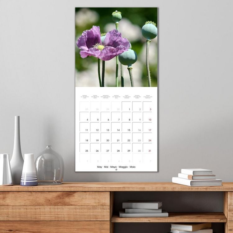 Produktbild: ENCHANTING FLOWERS (Wall Calendar 2026 12 &times; 12 Inch) CALVENDO 12 Month Wall Calendar