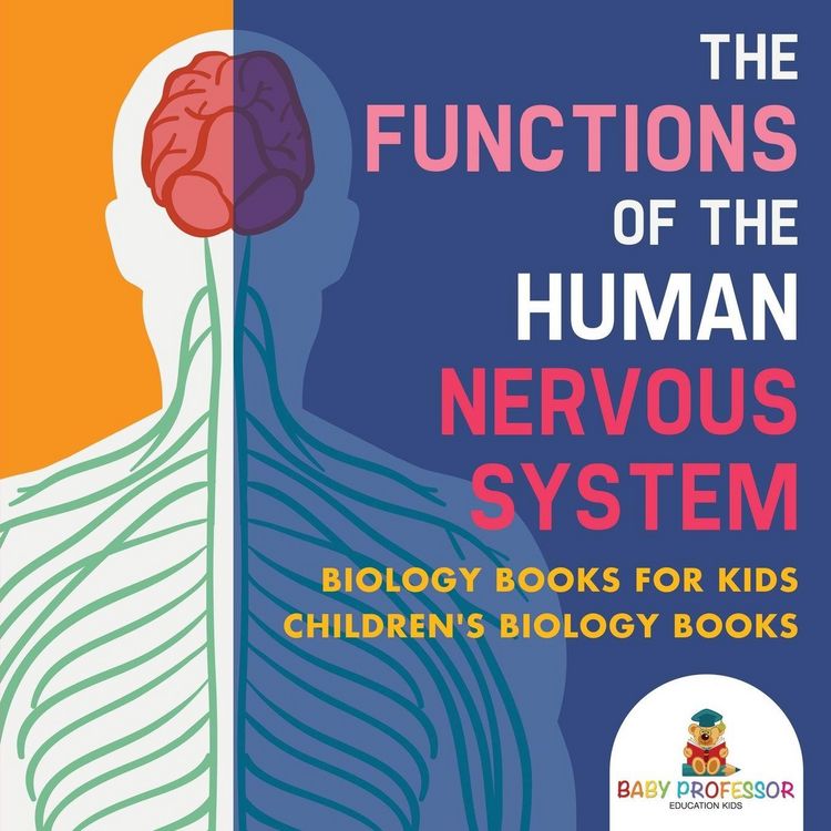 Produktbild: The Functions of the Human Nervous System - Biology Books for Kids | Children's Biology Books