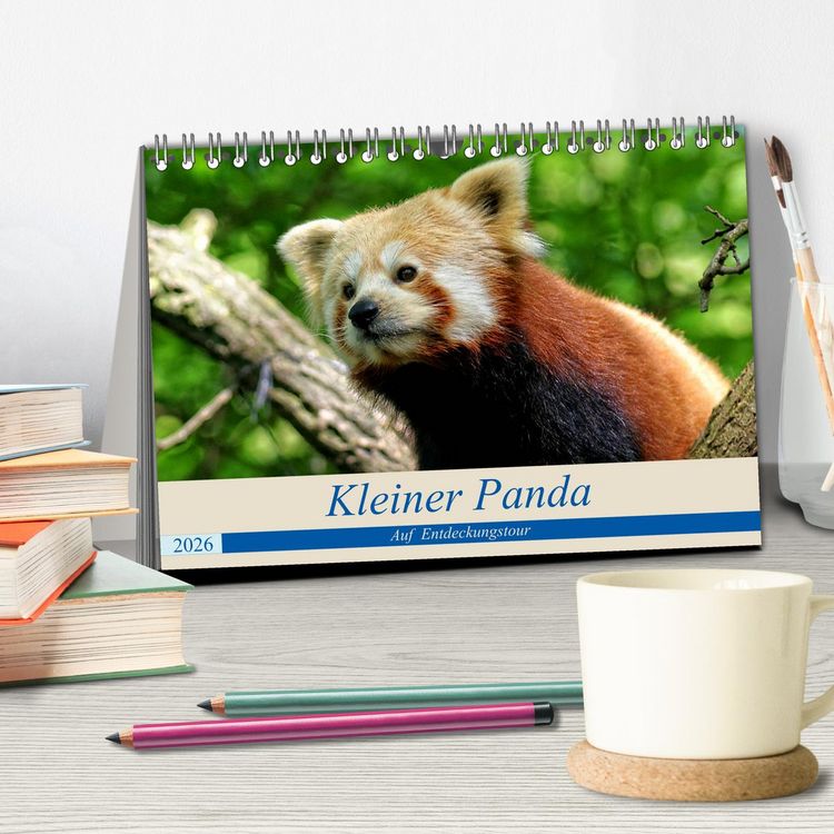 Produktbild: Kleiner Panda auf Entdeckungstour (Tischkalender 2026 DIN A5 quer), CALVENDO Monatskalender